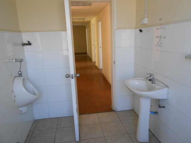 ANIBAL PINTO / MAIPU