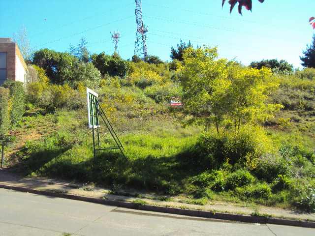 SITIO LOMAS DE SAN ANDRES