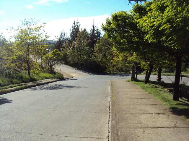 SITIO LOMAS DE SAN ANDRES