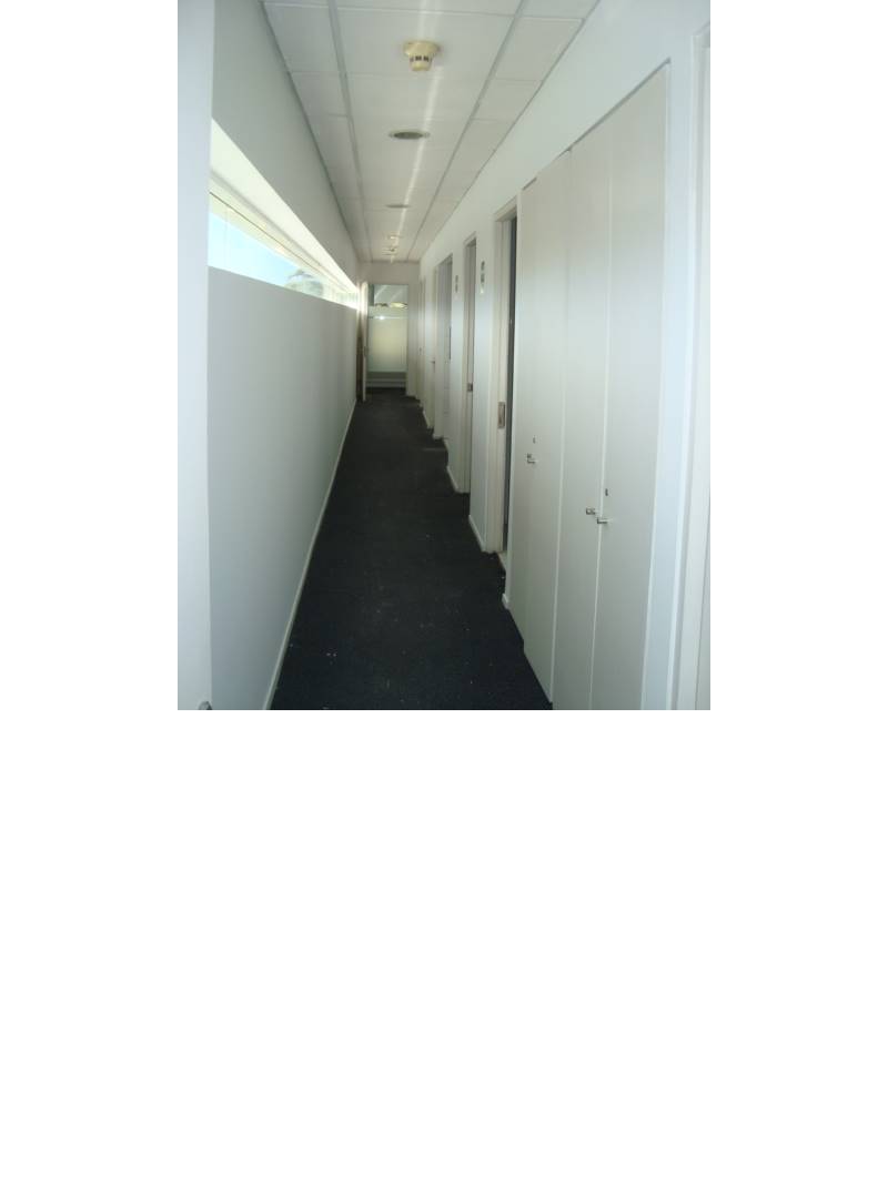 OFICINAS EDIFICIO CORPORATIVO CONSORCIO