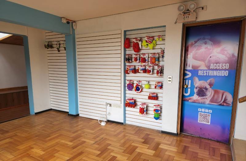 EXCELENTE LOCAL EN AVENIDA SAN ANDRES