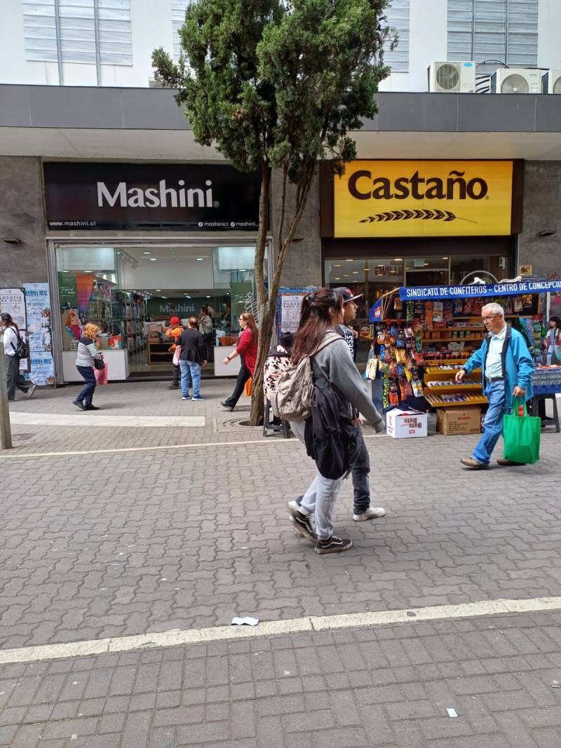 PASEO PEATONAL ANIBAL PINTO